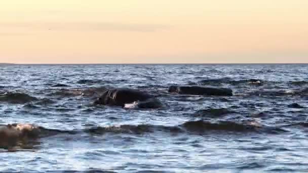 Coucher de soleil au bord de la mer Baltique, en Estonie, Viimsi. Vue sur la mer Baltique avec des pierres au beau coucher de soleil — Video