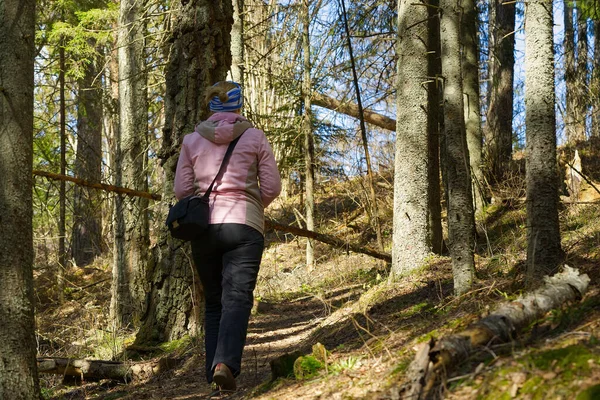 Donne che camminano nella foresta primaverile. sentieri nella foresta per tutta la famiglia. stile di vita sano — Foto Stock