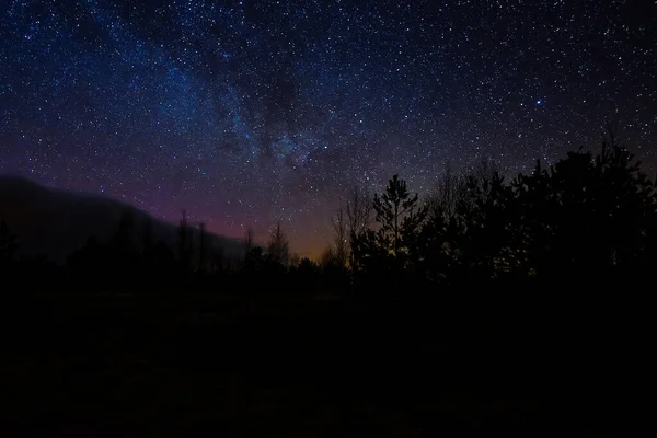 Bellissimi colori del cielo notturno. Cielo notturno colorato e alberi. scena di notte in palude sotto cielo di stelle — Foto Stock