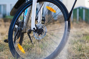 Arka bahçede bisiklet yıkama. Bisiklet sezonu için bahar hazırlıkları. Bisiklet bakımı, bisiklet yıkama