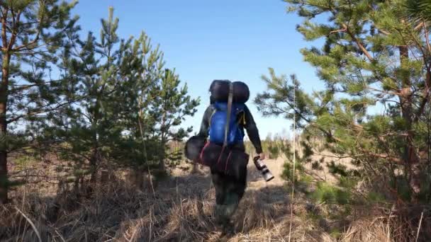 Фотограф з кемпінгом рюкзак, що йде в болоті, щоб знайти диких птахів і тварин — стокове відео