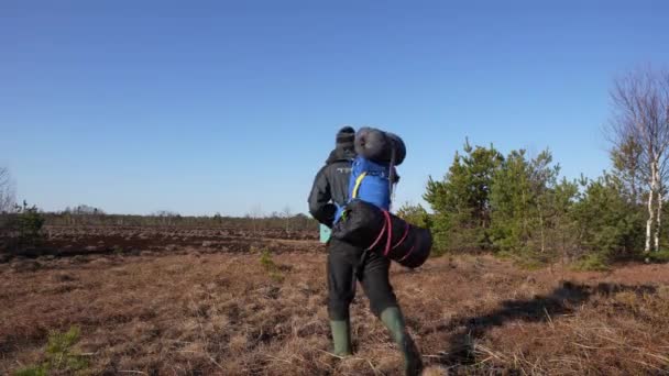 야생 새와 동물을 찾기 위해 배낭을 메고 늪을 걷고 있는 사진사 — 비디오