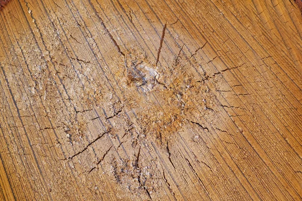 La textura de madera sobre el corte del árbol. industria maderera. textura de tronco de madera del tronco de árbol — Foto de Stock