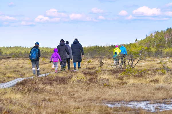 Gruppo di giovani che camminano lungo le anatre sulla palude. natura esplorando. Amici escursioni nella palude o palude sentiero, passerella. Estonia — Foto Stock