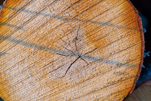 Hout textuur op een snede van een boom. Houtindustrie. hout van boomstronk — Stockfoto