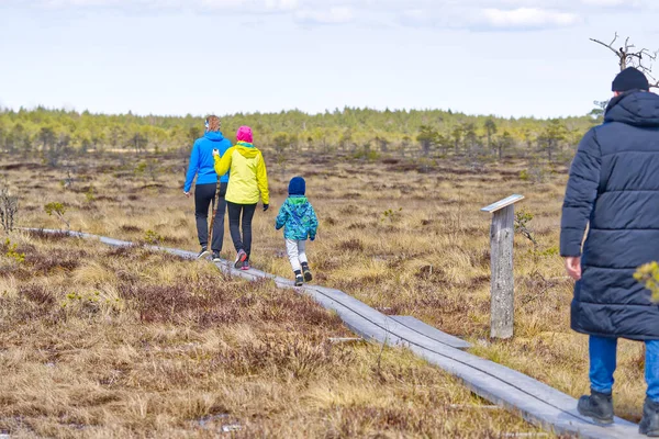 Gruppo di giovani che camminano lungo le anatre sulla palude. natura esplorando. Amici escursioni nella palude o palude sentiero, passerella. Estonia — Foto Stock