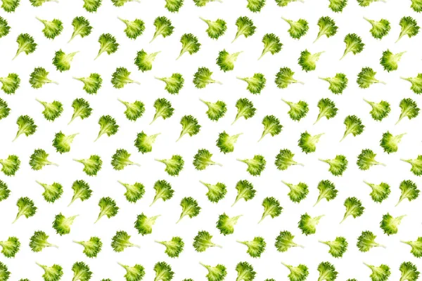 Pop tło sztuki z sałaty zielonej liści sałatki. frywolna sałatka wyizolowana na białym. liść sałatki lodowej płaski leżak — Zdjęcie stockowe