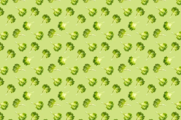 Pop art fondo de ensalada de hojas verdes lechuga. ensalada de arroz aislado en verde. iceberg ensalada hoja plana laico — Foto de Stock