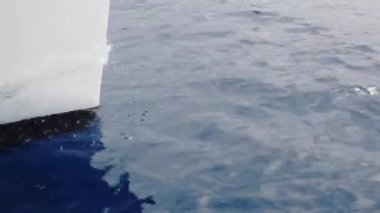 Yelkenli tekne Adriyatik denizinde dalgaları kesiyor.