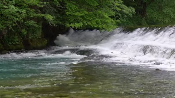 Seuil est situé sur une petite rivière de montagne, avec des flux d'eau biue entre les pierres. — Video