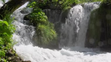 Yaz mevsiminde Plitvice Gölleri Ulusal Parkı 'nda Şelale, Hırvatistan
