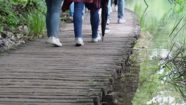 Volkeren in een zomer openbaar park. levensstijl, natuur verkennen — Stockvideo