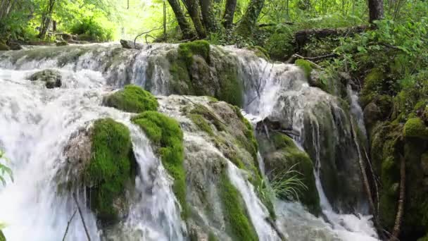 Wodospad w Parku Narodowym Jeziora Plitwickie, Chorwacja — Wideo stockowe