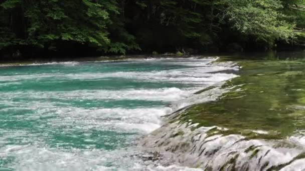 Eşik, taşların arasında biyo suyu akan küçük bir dağ nehrinde yer almaktadır.. — Stok video