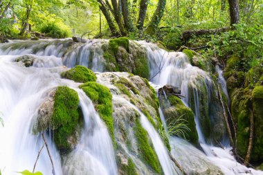Yaz mevsiminde Plitvice Gölleri Ulusal Parkı 'nda Şelale, Hırvatistan