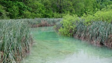 Hırvatistan 'ın Plitvice Gölleri Ulusal Parkı' ndaki göllerin muhteşem manzarası