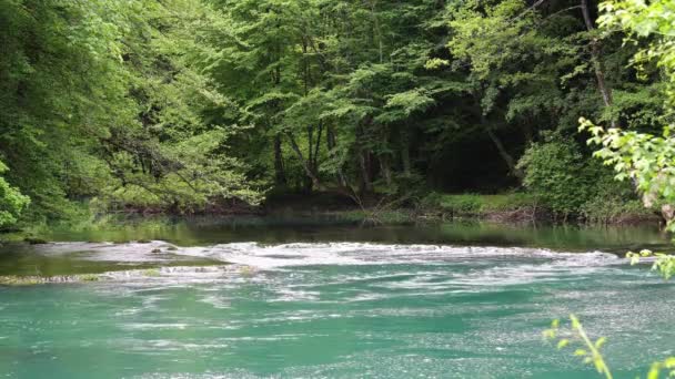 Umbral se encuentra en un pequeño río de montaña, con flujos de agua biue entre las piedras. — Vídeo de stock