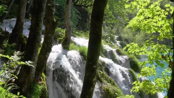 Cascada en el Parque Nacional de los Lagos de Plitvice en verano, Croacia — Vídeos de Stock