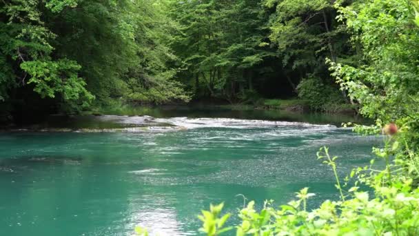 Seuil est situé sur une petite rivière de montagne, avec des flux d'eau biue entre les pierres. — Video