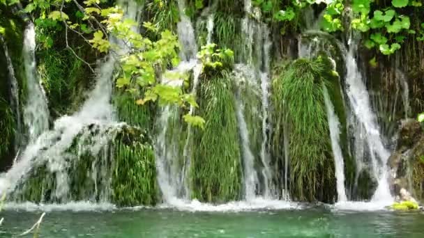 Cascada en el Parque Nacional de los Lagos de Plitvice en verano, Croacia — Vídeo de stock