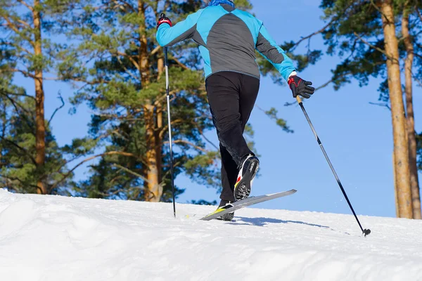 Cross-country skiing in sunny winter day. cross country skiing, close-up.