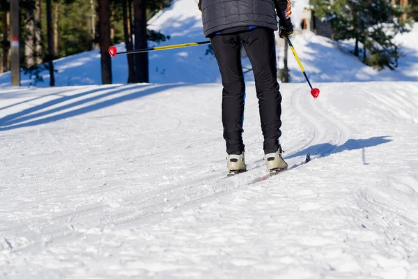 Cross-country skiing in sunny winter day. cross country skiing, close-up.