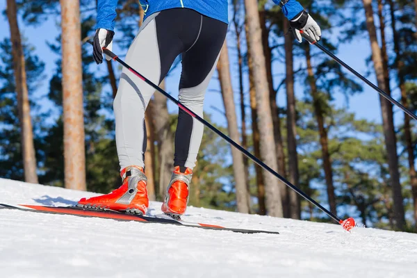 Cross-country skiing in sunny winter day. cross country skiing, close-up.