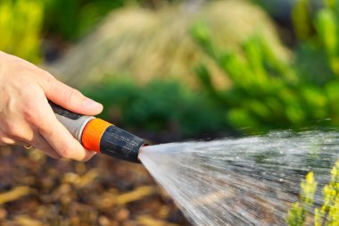 Çiçekleri sulayan bir hortum tutuyordu. Çiçekleri evin önündeki bir hortumla suluyordu.