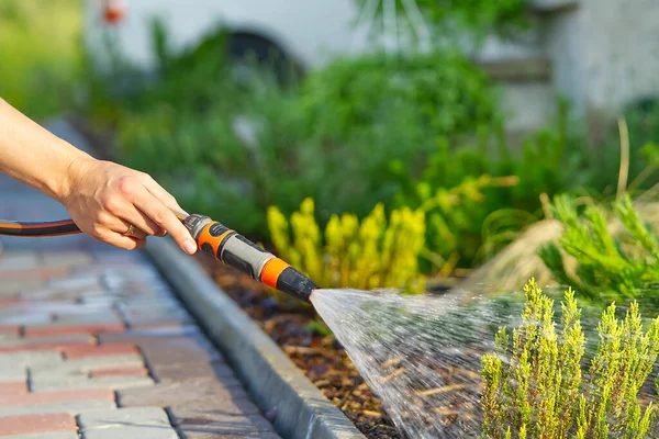 Hand holding a hose watering flowers.watering the flower beds with a hose in front of the house — Stock Photo, Image