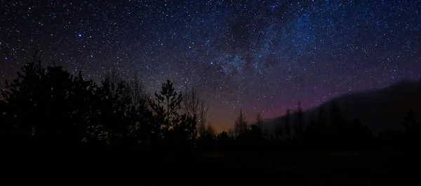 美しい夜空の色。カラフルな夜空と木々。夜は星の空の下で — ストック写真