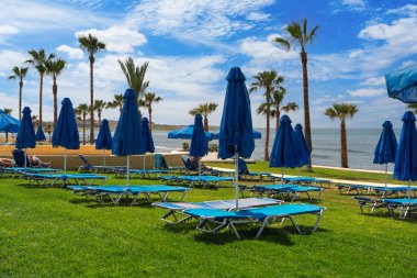 Kapalı mavi şemsiyelerin ve yemyeşil çimlere mavi şezlongların davet edildiği sakin bir sahil manzarası. Arka planda sallanan palmiyeler tatil için ideal sakin bir atmosfer yaratıyor..