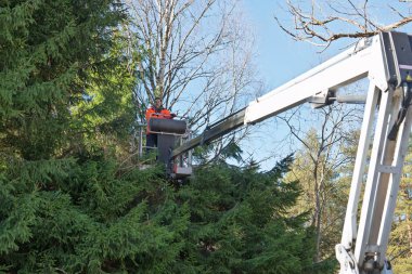Ağaççılar ağaç dallarını budamak için hava asansörü kullanırlar. Ağaç bakımındaki güvenlik ve hassasiyeti vurgularlar. Güneşli bir gün gerekli bakım için ideal bir ortam yaratır..