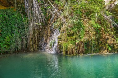 Büyüleyici bir şelale vahası keşfedin. Suyun yemyeşil bir havuzun ortasında dingin bir havuza aktığı bir yer. Bu huzurlu cennet eko-turizm ve doğa değerlendirmesi için idealdir..