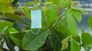 Cornavirus 'a karşı korunmak için kullanılan mavi tek kullanımlık maske Rio de Janeiro' daki bir badem ağacına atılmış..