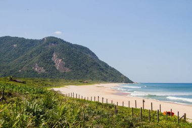 Rio de Janeiro 'nun batı yakasındaki Grumari plajı..