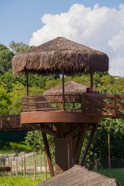 Rio de Janeiro Biopark, Brezilya - 20 Mart 2021: Rio de Janeiro Biopark 'taki Savannah olarak bilinen çekim alanı.