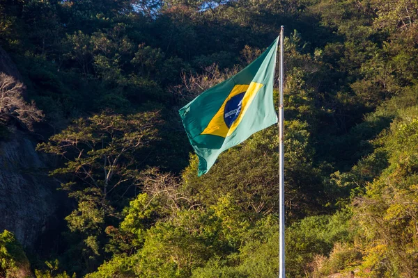 Flaga Brazylii Zewnątrz Drzew Tle Rio Janeiro Brazylia — Zdjęcie stockowe