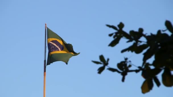 Drapeau Brésil Plein Air Rio Janeiro Brésil — Video