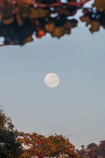 브라질 리우데자네이루의 보름달 — 스톡 사진