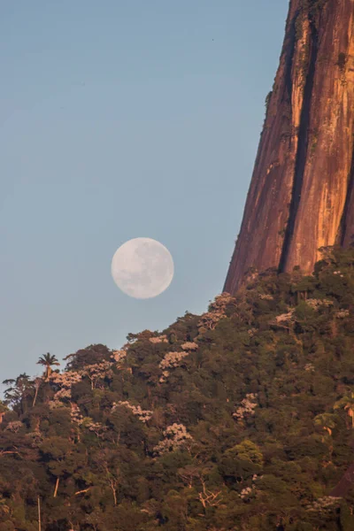 Pleine Lune Rio Janeiro Brésil — Photo