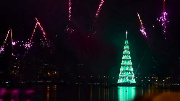 Einweihung Des Weihnachtsbaums Der Lagune Von Rodrigo Freitas Rio Janeiro — Stockvideo