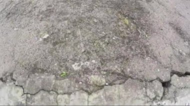Niteroi, Rio de Janeiro 'daki Santa Cruz kalesinin girişinden bir görüntü..