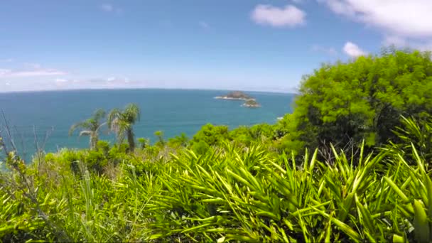 Mirador Caete Prainha Rio Janeiro Brasil — Vídeo de stock