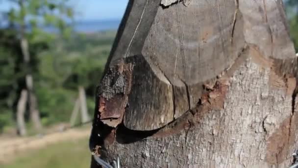 View Marica Flight Ramp Trail Rio Janeiro Brazil — Stock Video