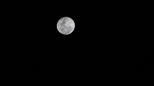 Lua Cheia Céu Rio Janeiro Brasil — Vídeo de Stock