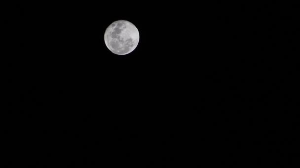 Luna Plina Cerul Din Rio Janeiro Brazilia — Videoclip de stoc