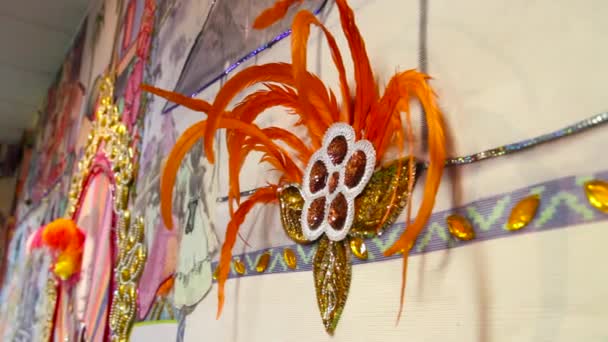 Decorazione Carnevale Rio Janeiro Brasile — Video Stock