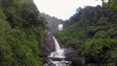 Serra da Bocaina 'daki Geyik Şelalesi Sao Paulo, Brezilya.