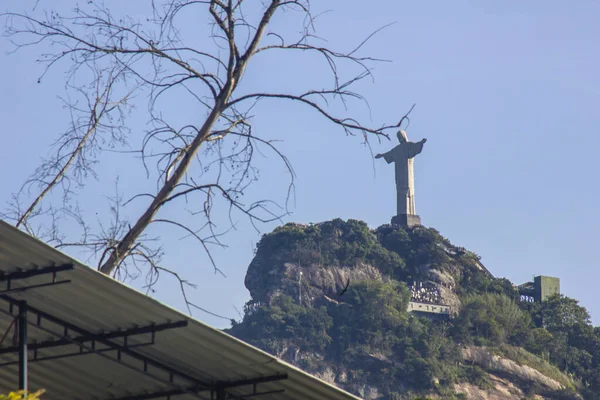 Christus Verlosser Gezien Vanaf Long River Buurt Rio Janeiro Brazilië — Stockfoto