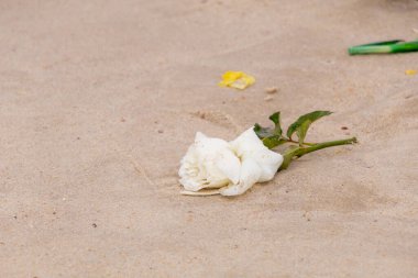 Rio de Janeiro, Brezilya 'daki Copacabana Sahili' nde Iemanja Festivali.